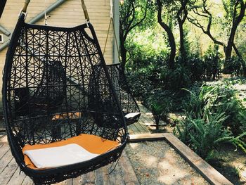 Plants growing on tree trunk