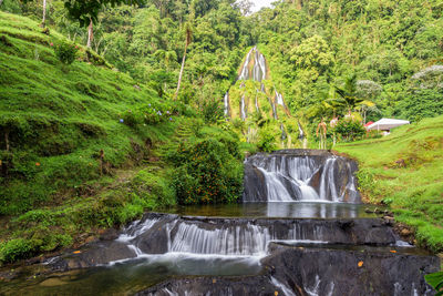 Scenic view of waterfall in forest