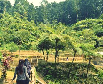 People by trees in park