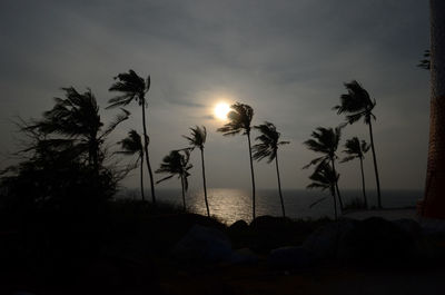 Silhouette palm trees on beach against sky at sunset