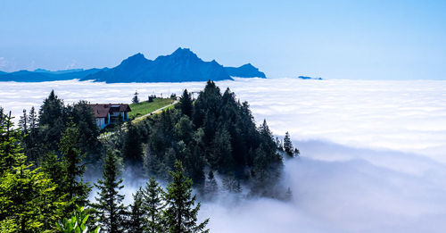 Scenic view of sea and buildings against sky