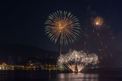 Firework display at night