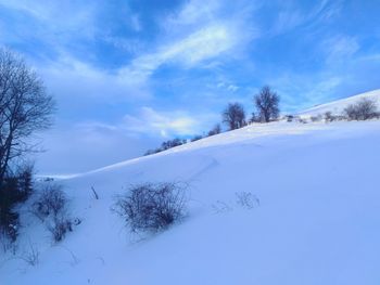 Bare trees on snow covered landscape against sky