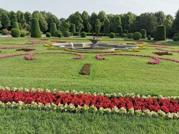 Scenic view of flower trees in garden