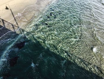 High angle view of swimming pool