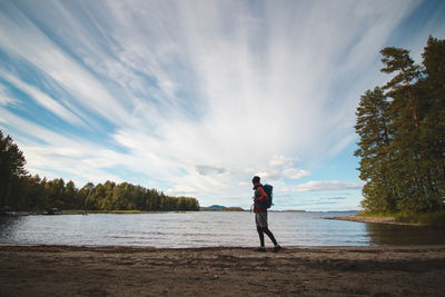 Hiker walks along the beach and watches lake jatkonjarvi at sunset in koli national park, finland.