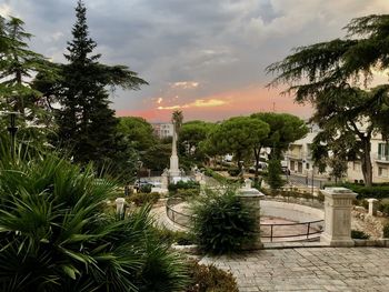 Plants and trees by building against sky during sunset