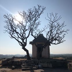 Bare tree by historic building against sky