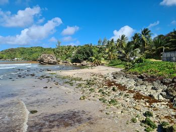 Scenic view of beach against sky