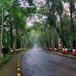 Road amidst trees