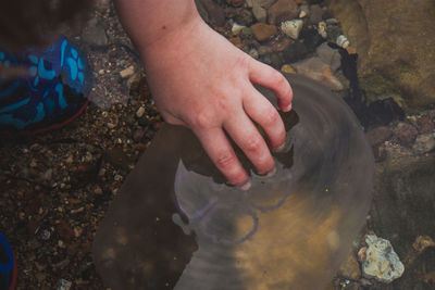 High angle view of hand on rock