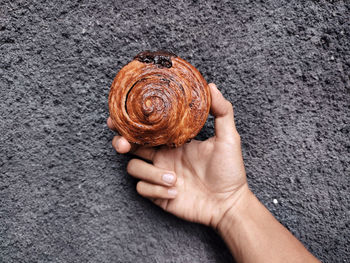 Cropped hand of person holding seashell