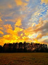 Trees on field against sky during sunset