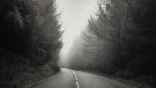 Empty road amidst trees against sky