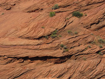 Full frame shot of rock formations