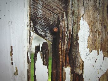 Close-up of weathered wooden wall