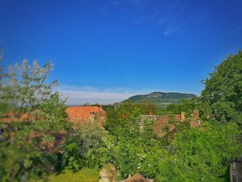 Scenic view of landscape against blue sky