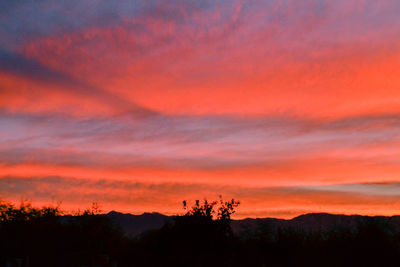 Silhouette trees against dramatic sky during sunset