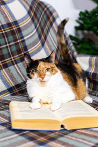 Portrait of cat sitting on book