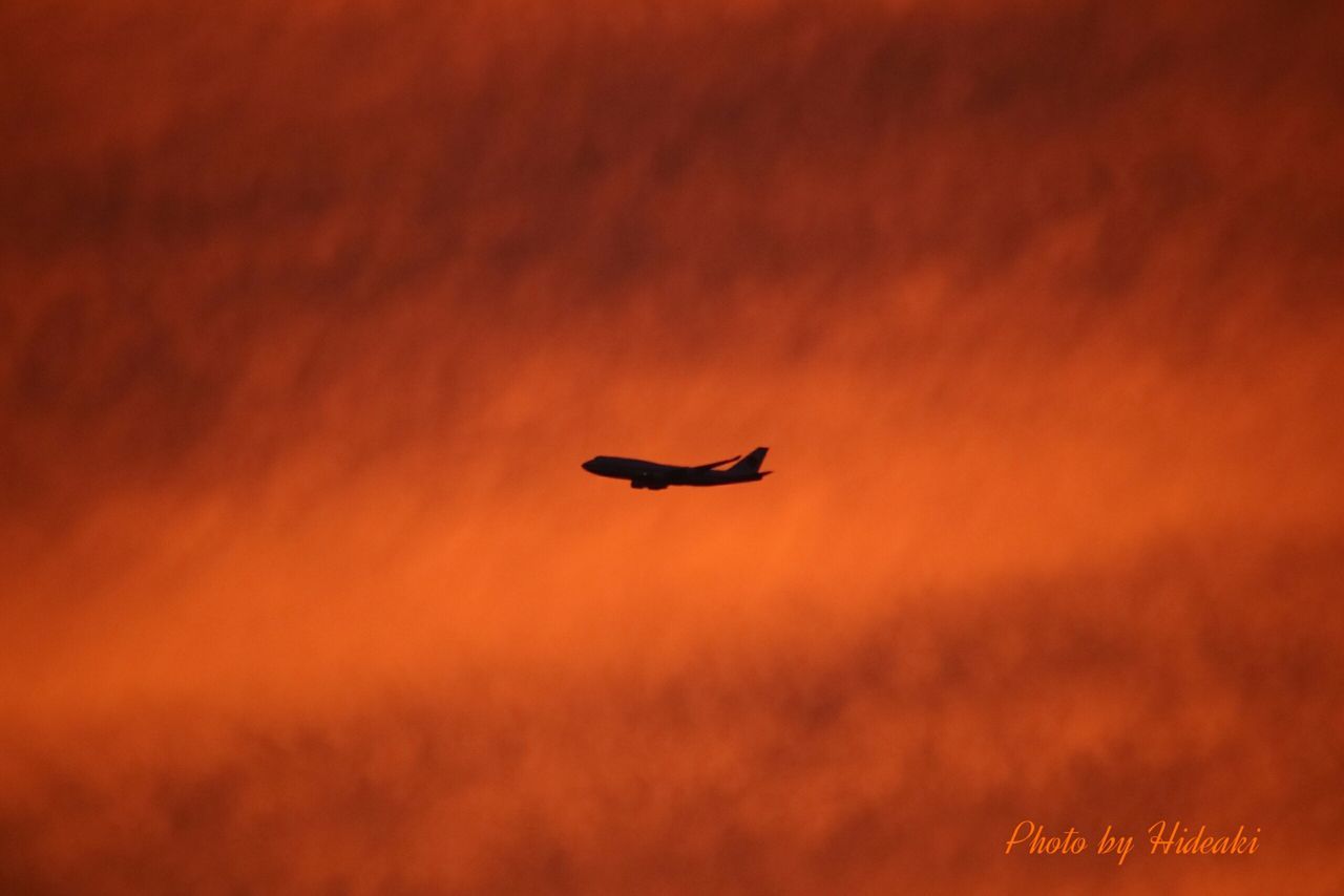 LOW ANGLE VIEW OF SKY AT SUNSET