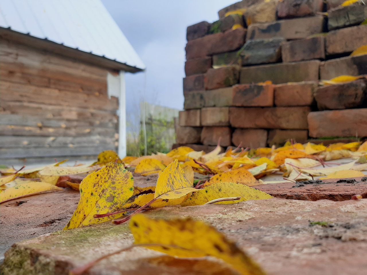 yellow, architecture, built structure, wall, wood, building exterior, rock, autumn, building, nature, no people, day, brick, outdoors, house, sky, leaf, plant part, selective focus, landscape, industry, wall - building feature