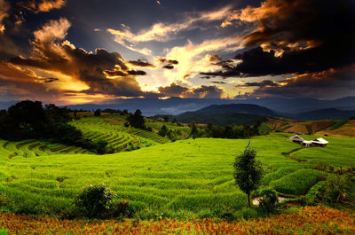 Scenic view of grassy field against cloudy sky