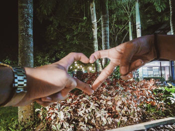 Midsection of couple hands on plants