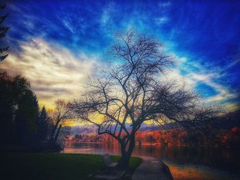 Bare trees against sky during autumn