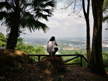 Bird sitting on a tree