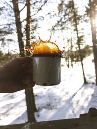 Close-up of hand holding ice cream