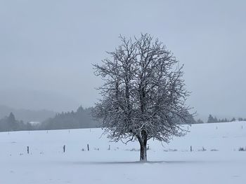 Bare tree on snow field against sky during winter