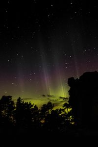 Silhouette trees against star field at night