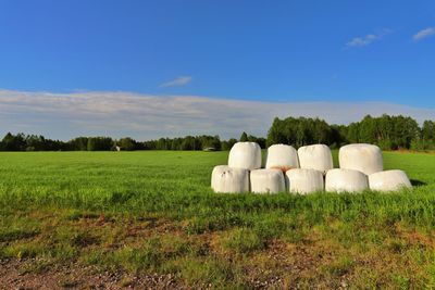 Hay bales on field against sky