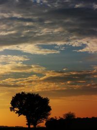 Low angle view of silhouette trees against orange sky