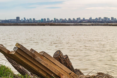 Close-up of wood by river in city against sky