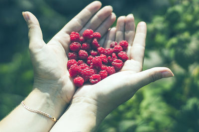 Midsection of person holding strawberry