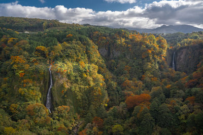 Scenic view of forest against sky during autumn