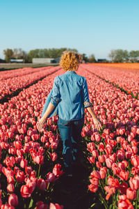 Rear view of man walking on field