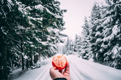 Cropped hand of man holding fruit against trees during winter