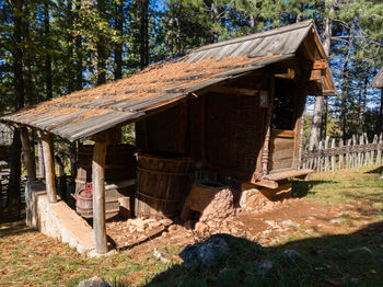 Wooden house by trees in forest