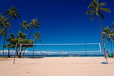 Palm trees on beach against clear blue sky