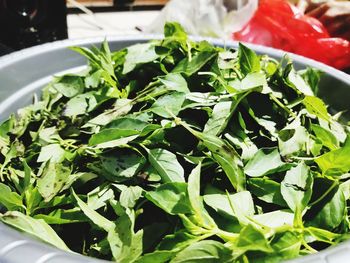 Close-up of chopped leaves in bowl