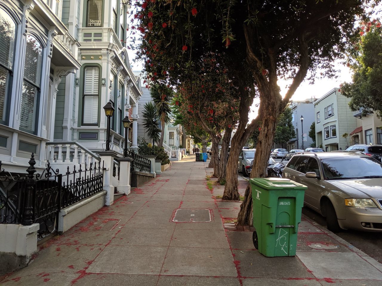 STREET AMIDST TREES AND BUILDINGS