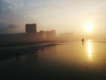 Silhouette man and seagulls at beach during sunrise