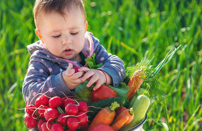 Cute baby with fresh harvested vegetables in farm