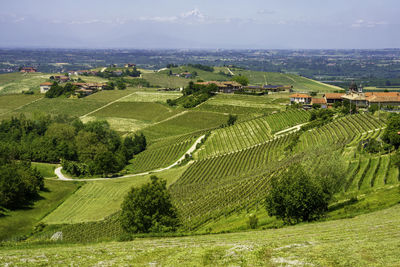Scenic view of agricultural field against sky