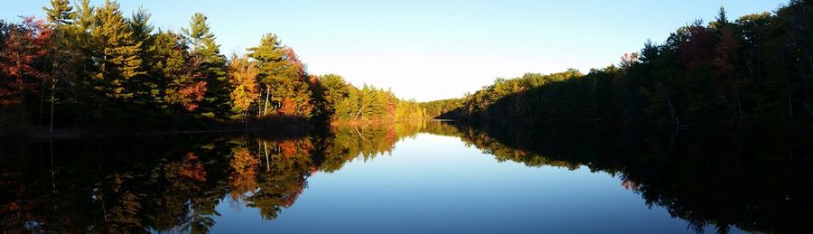 Reflection of trees in calm lake