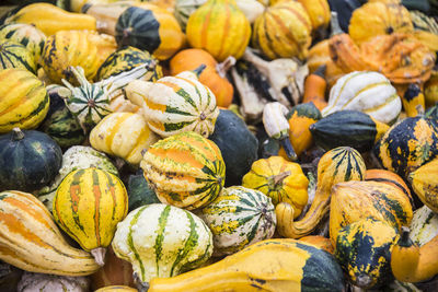 Full frame shot of pumpkins for sale at market stall