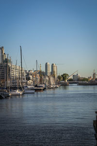 Sailboats in harbor against clear sky