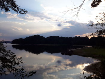 Reflection of trees in calm lake